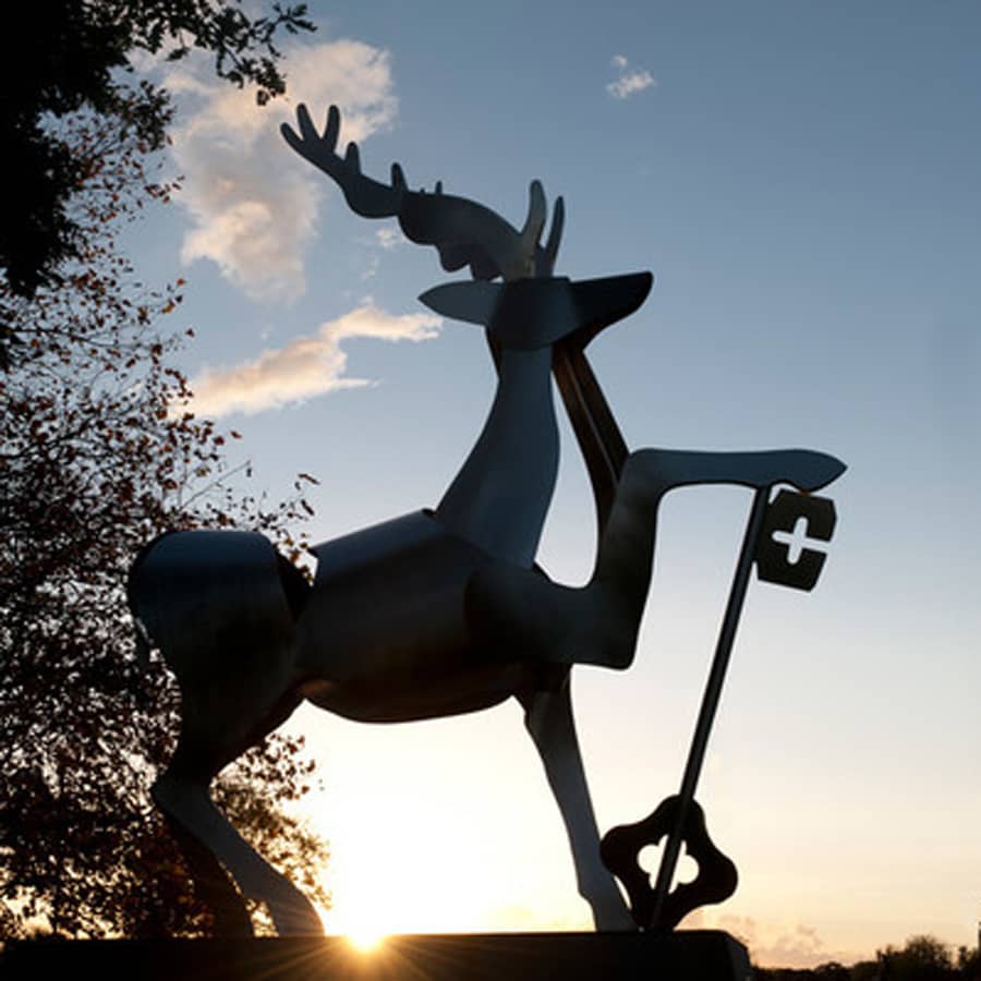 University-of-Surrey.jpg